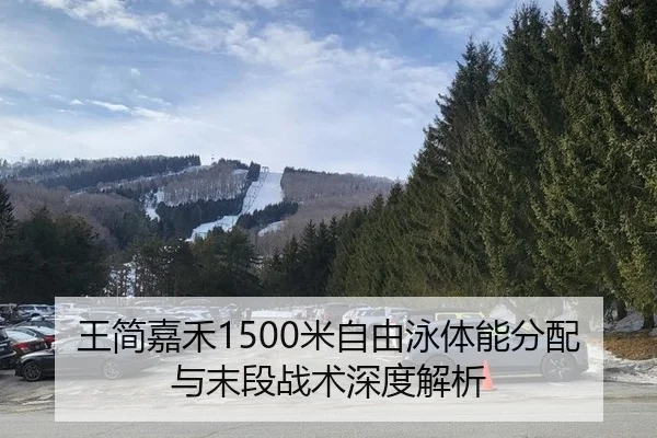 王简嘉禾1500米自由泳体能分配与末段战术深度解析